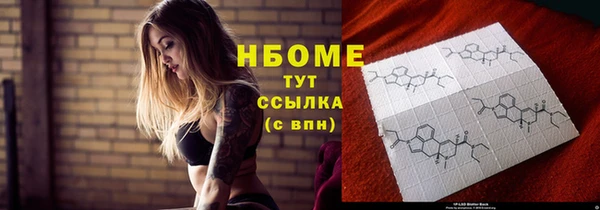 прущие грибы Белокуриха