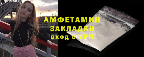 прущие грибы Белокуриха